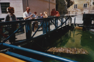2001_Kunstwege_01.jpg