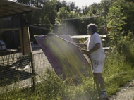 2001_Radegund_01.jpg