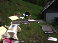 DSCF0775.jpg
