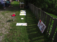 DSCF0775.jpg