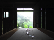 DSCF0775.jpg