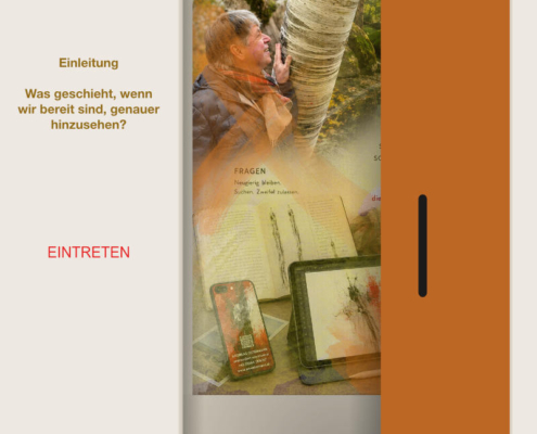 Was geschieht, wenn wir bereit sind, genauer hinzusehen?